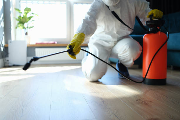 Professional Pest Control in Woodmont, CT