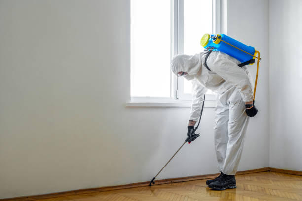 Wildlife Control Services in Woodmont, CT