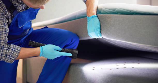 Best Emergency Pest Control  in Woodmont, CT